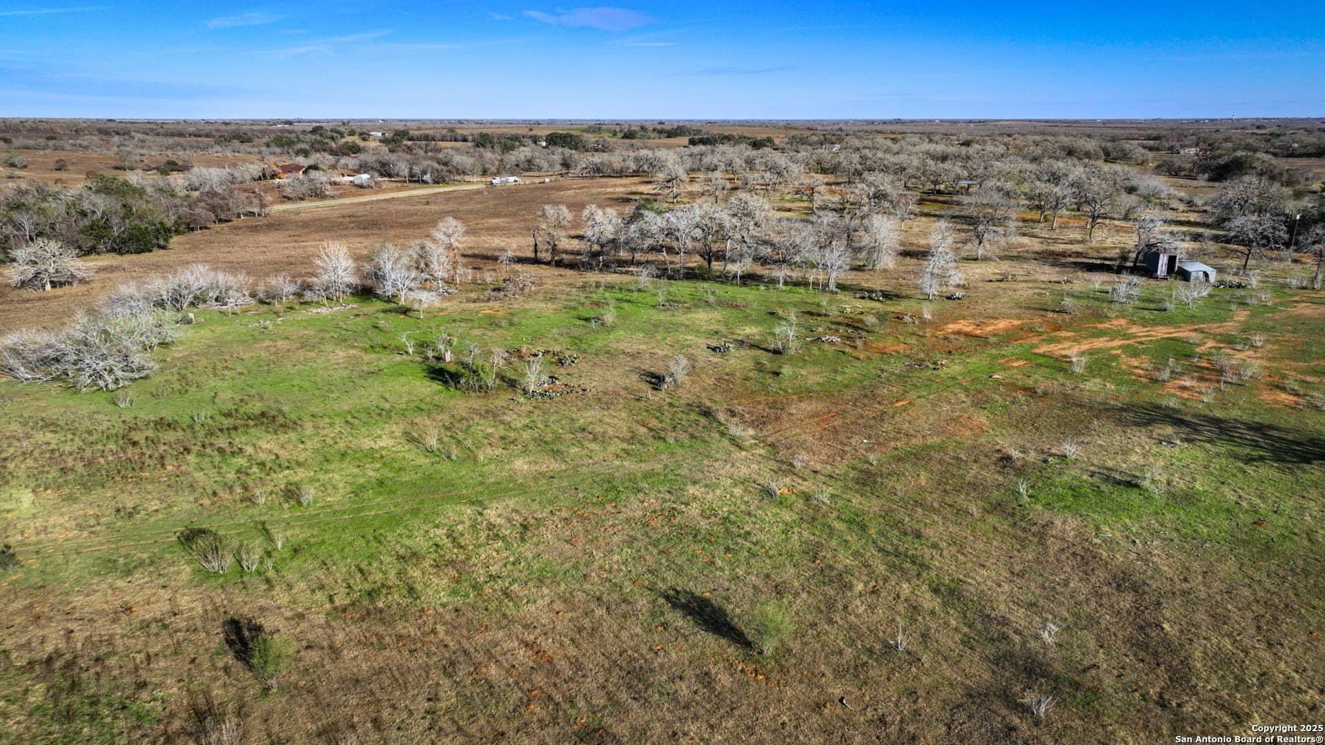 50 acres in Wilson County gallery image 2
