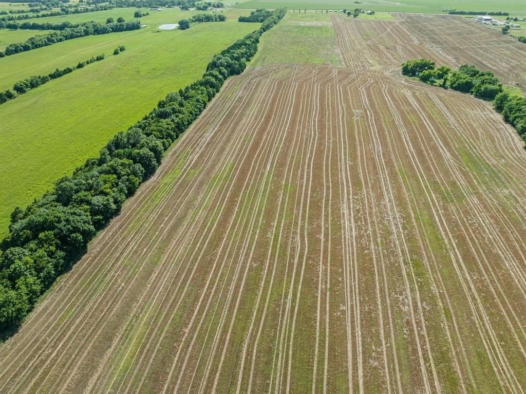 93.46 acres in Lamar County gallery image 2