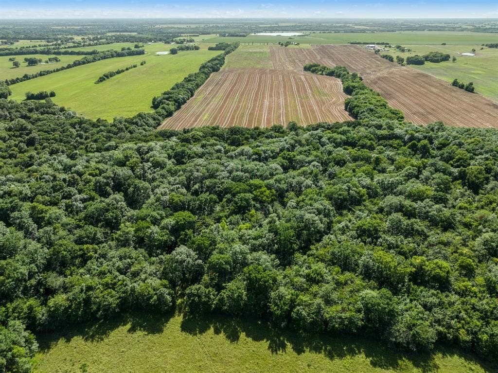 93.46 acres in Lamar County gallery image 3