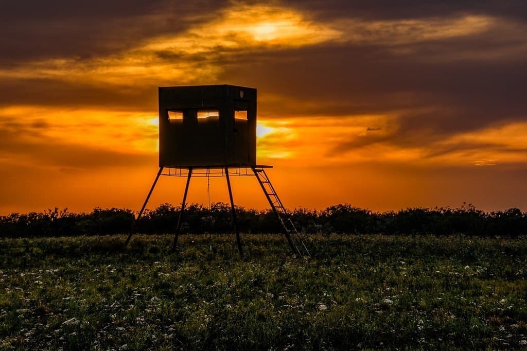 649.3 acres in Duval County gallery image 2