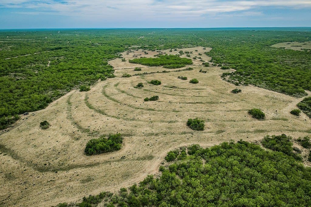 649.3 acres in Duval County gallery image 4