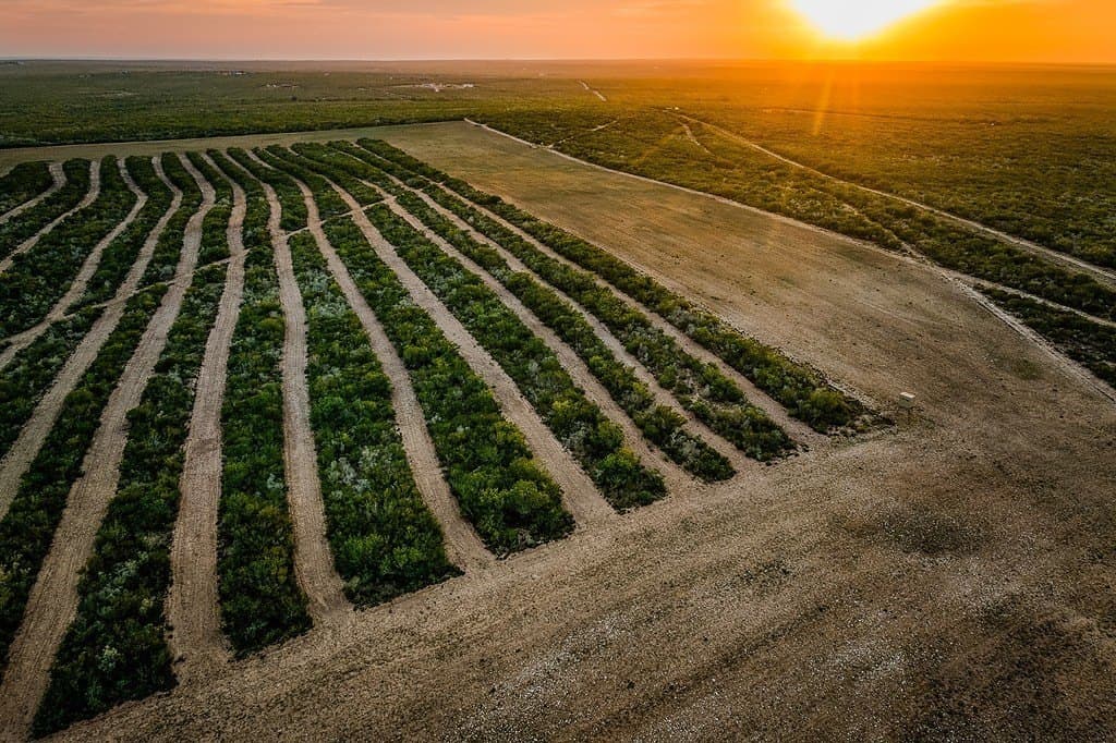 649.3 acres in Duval County featured view