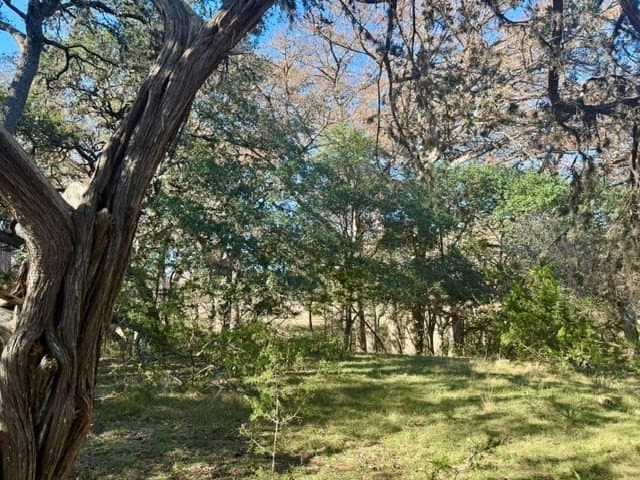 0.91 acres in Real County - photo 6