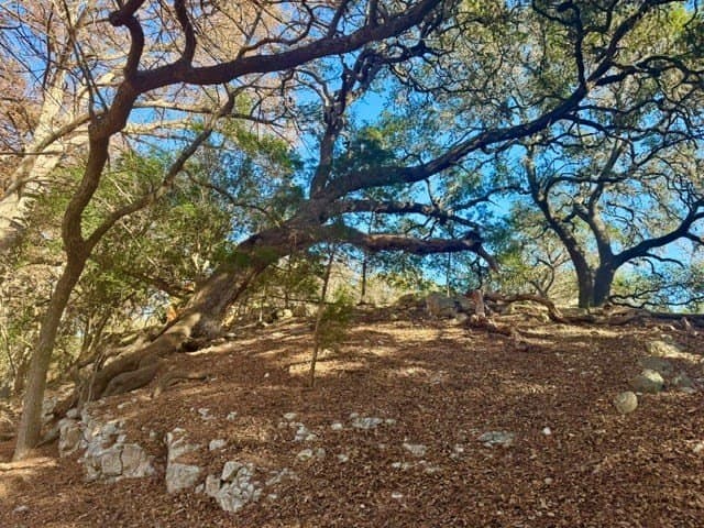 0.91 acres in Real County - photo 7