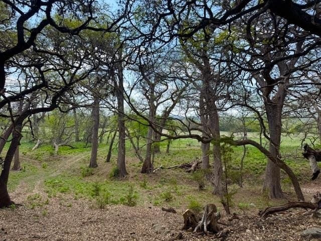 0.91 acres in Real County - photo 23