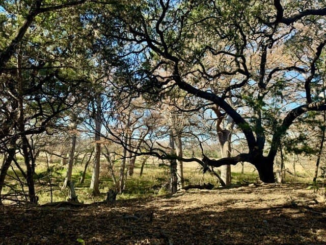 0.91 acres in Real County - photo 9