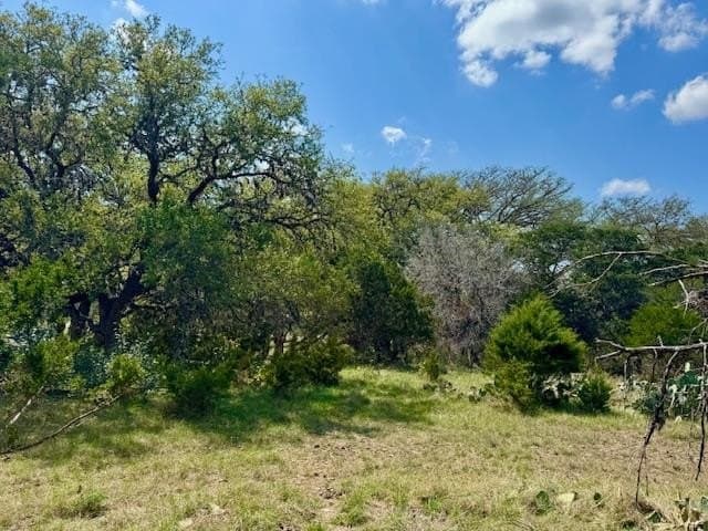 0.91 acres in Real County - photo 21
