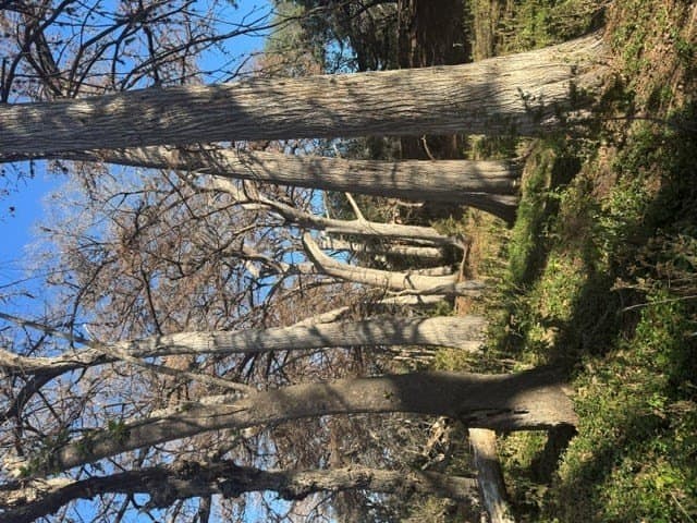 0.91 acres in Real County - photo 12