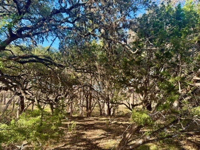 0.91 acres in Real County gallery image 4