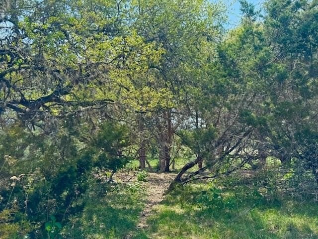 0.91 acres in Real County - photo 22