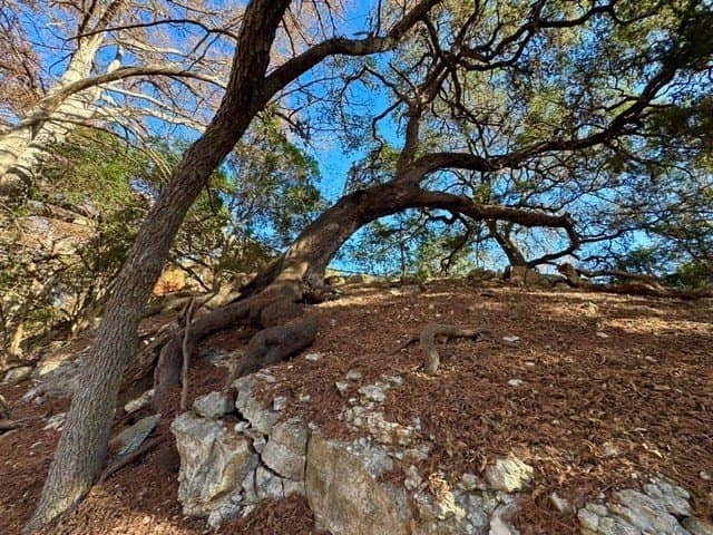 0.91 acres in Real County - photo 10
