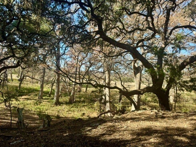 0.91 acres in Real County featured view