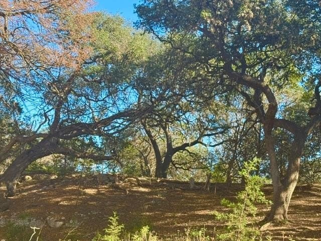 0.91 acres in Real County