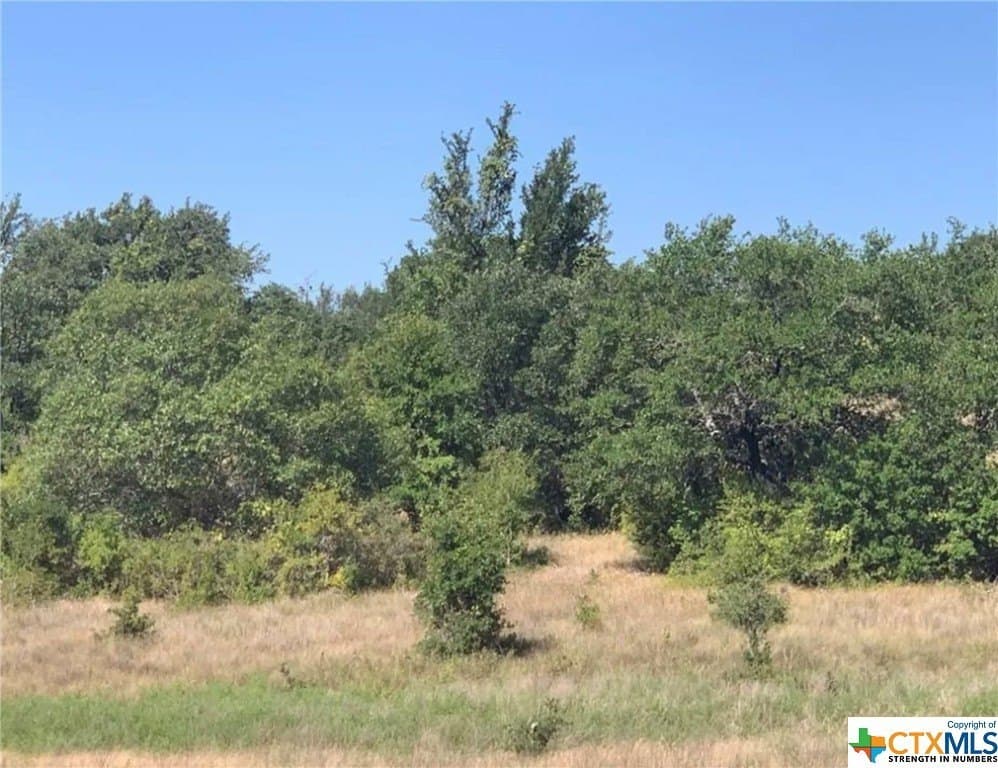 12 acres in Bell County gallery image 3