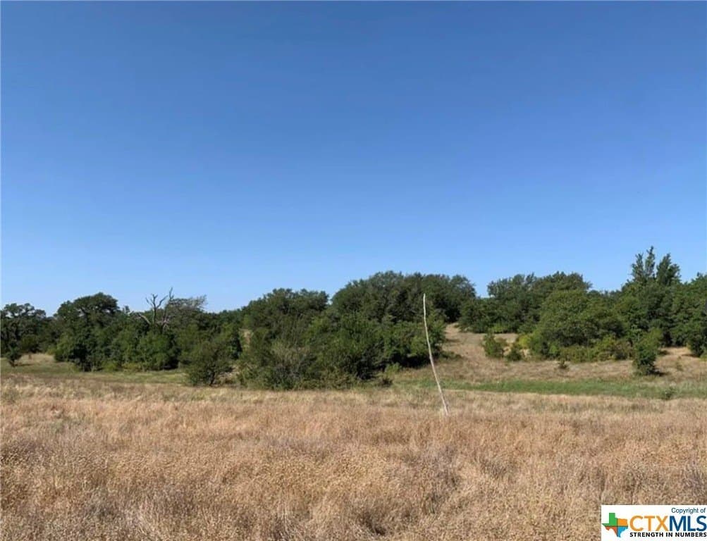 12 acres in Bell County gallery image 2