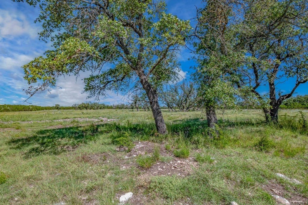 11.4 acres in Gillespie County gallery image 3