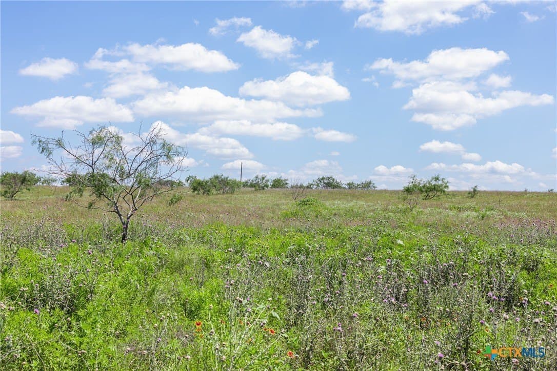 10 acres in Bell County - photo 34