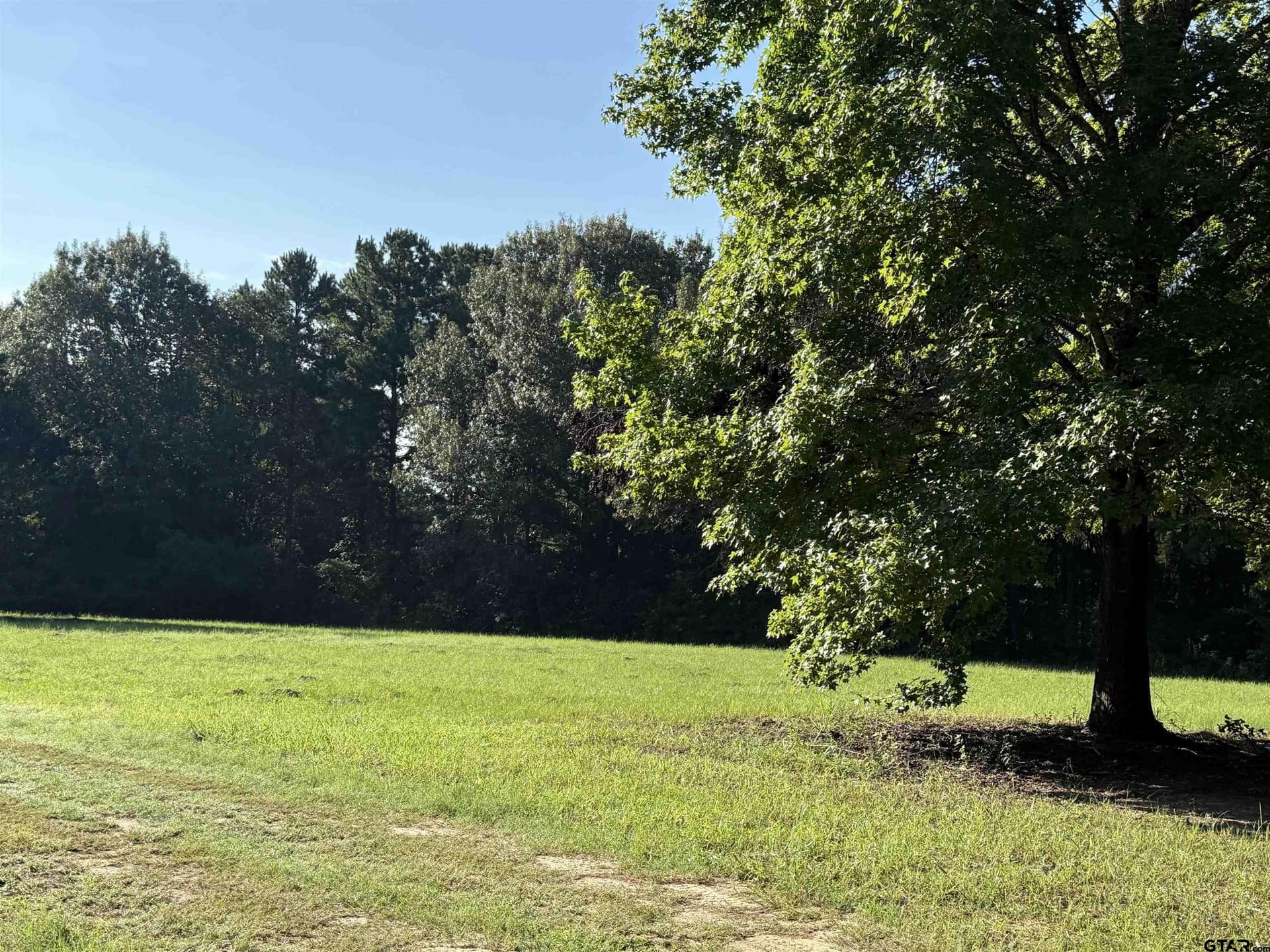 158 acres in Smith County - photo 22