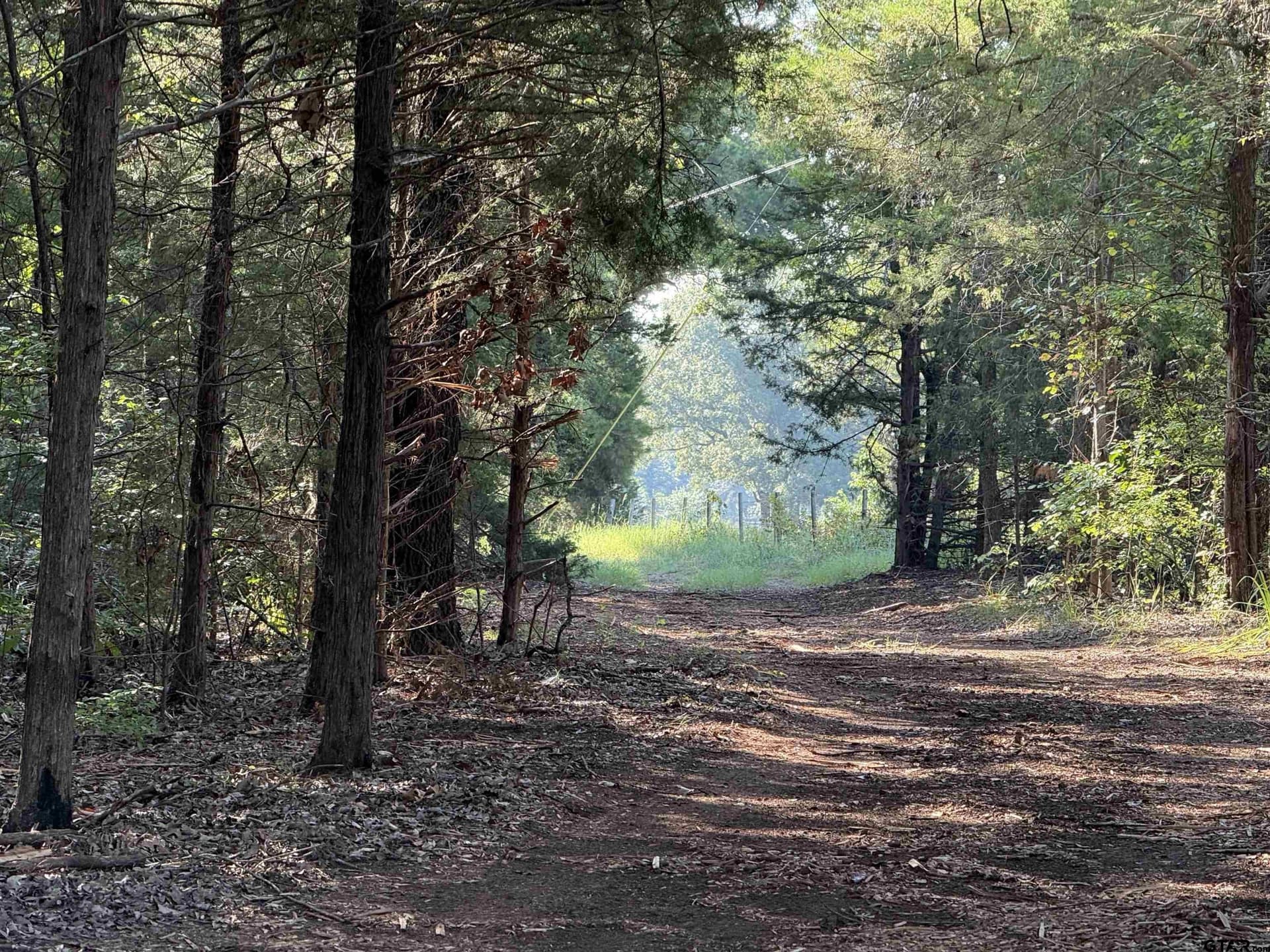 158 acres in Smith County - photo 14