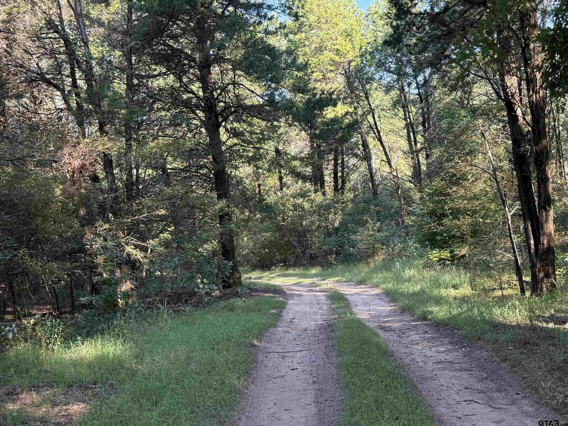 158 acres in Smith County - photo 18