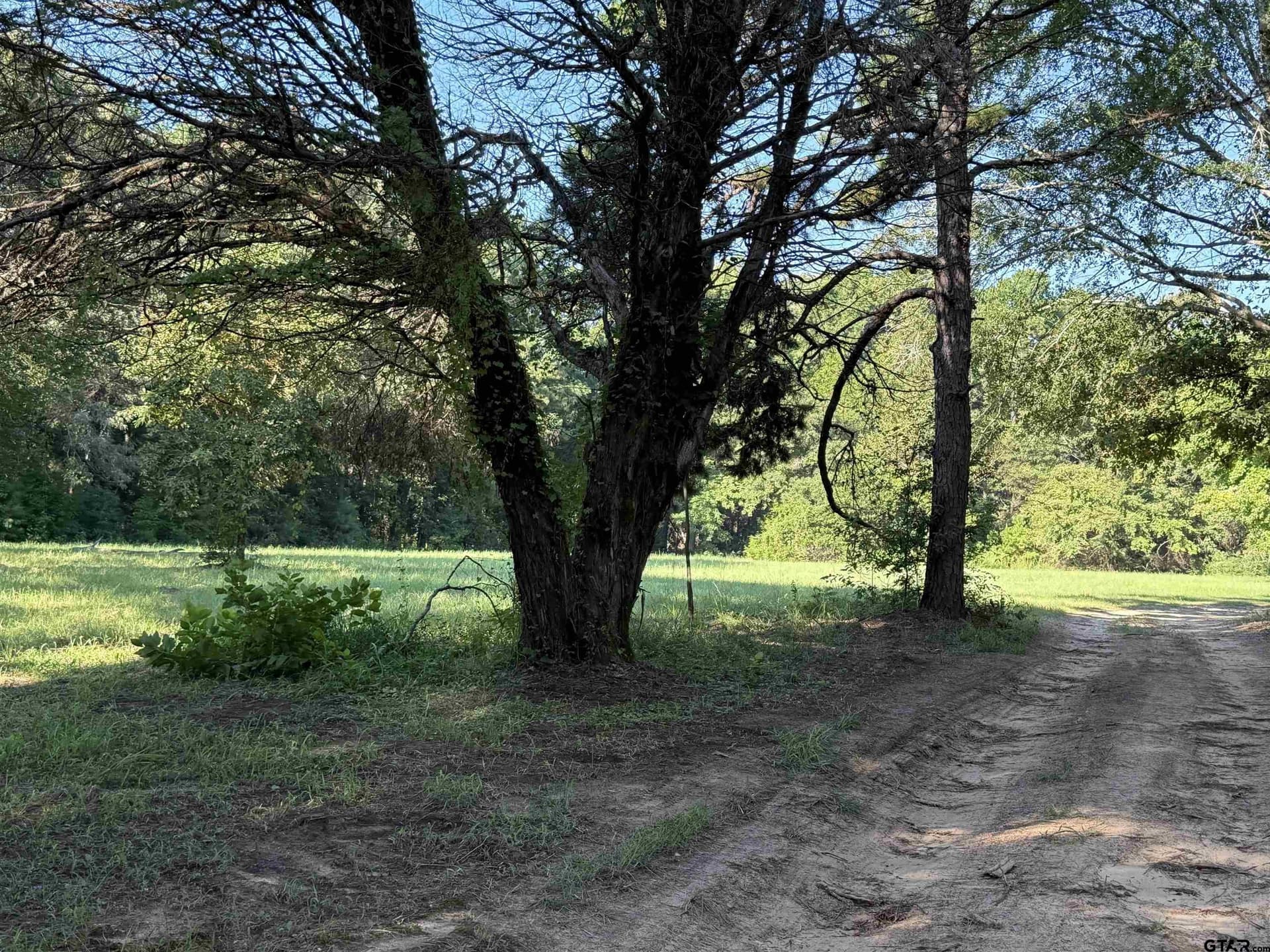 158 acres in Smith County - photo 16