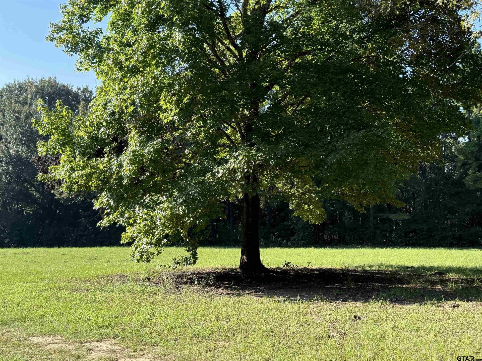 158 acres in Smith County - photo 17