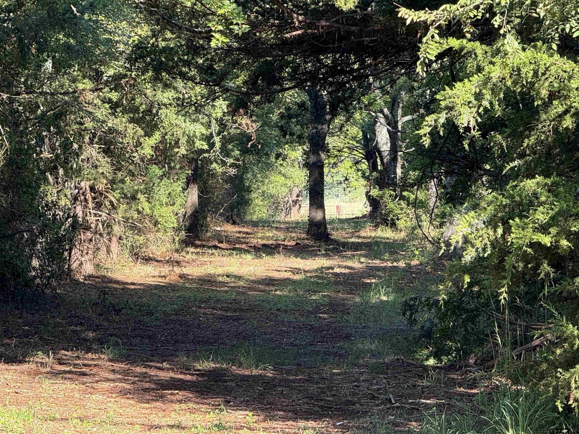 158 acres in Smith County - photo 21