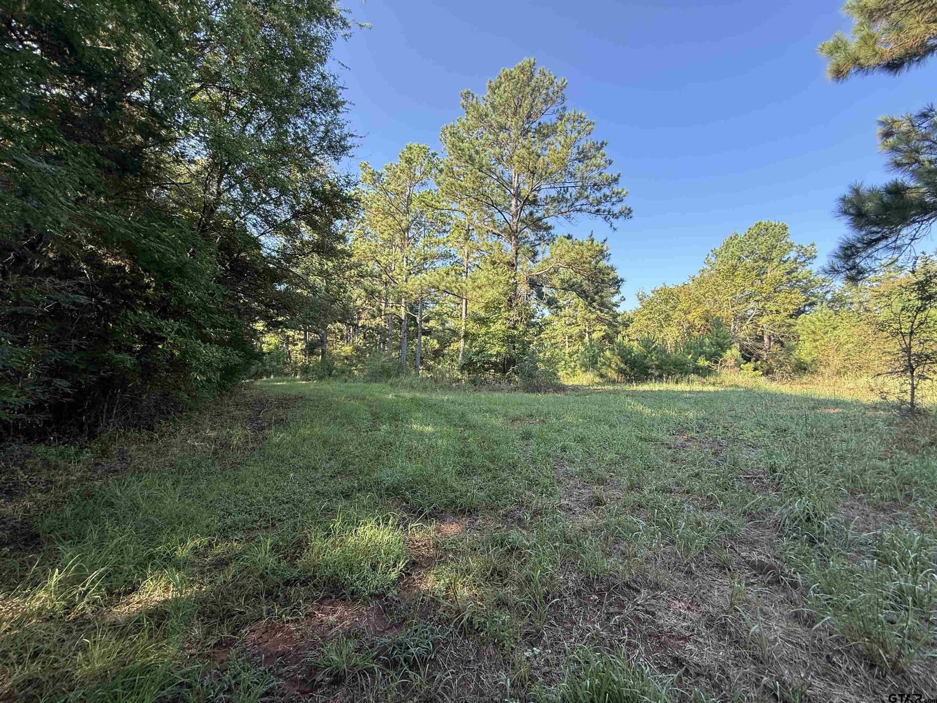 158 acres in Smith County - photo 20