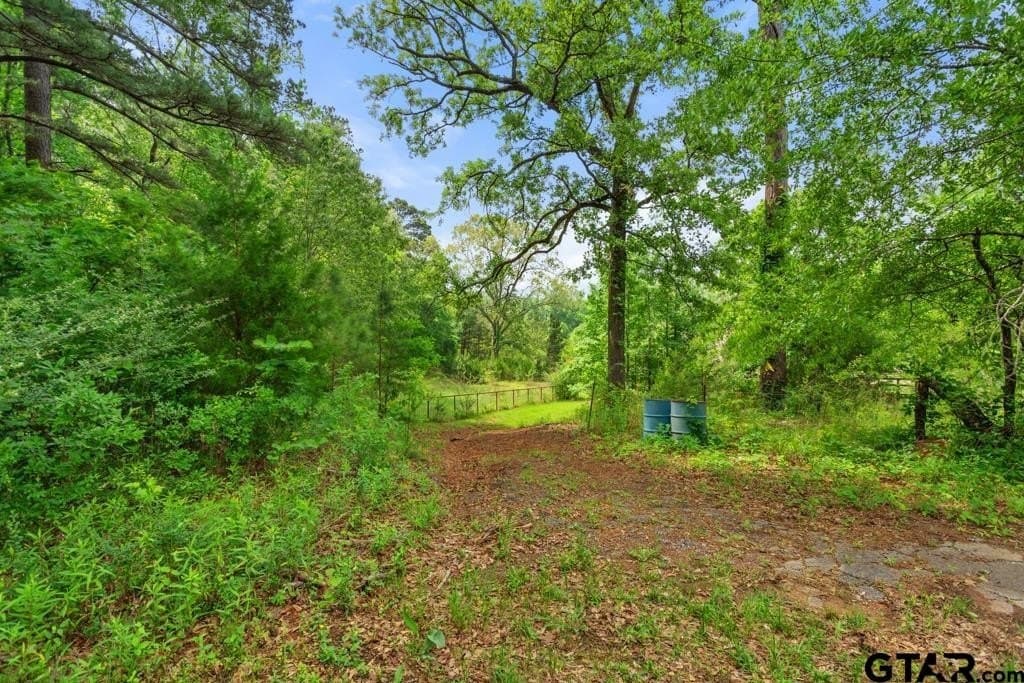 6.31 acres in Smith County gallery image 4