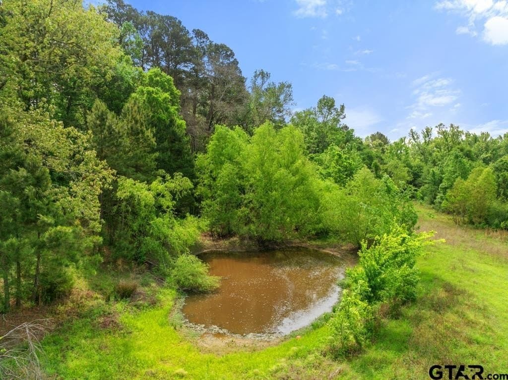 6.31 acres in Smith County gallery image 2