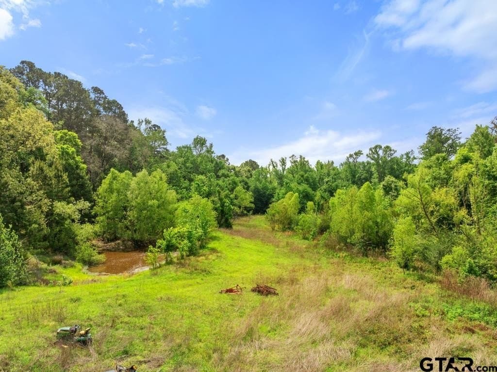 6.31 acres in Smith County gallery image 3