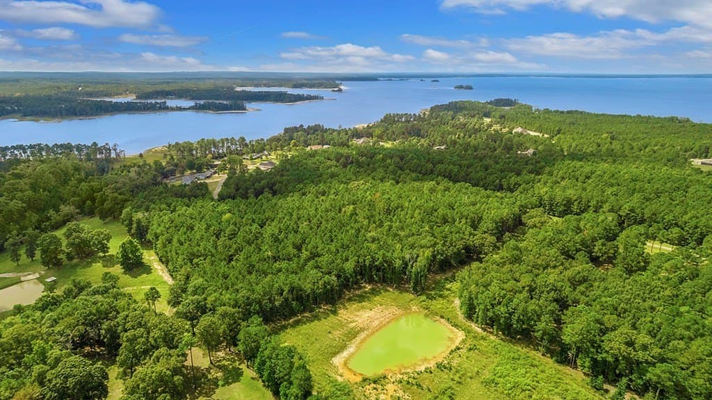 5 acres in Texas County gallery image 4