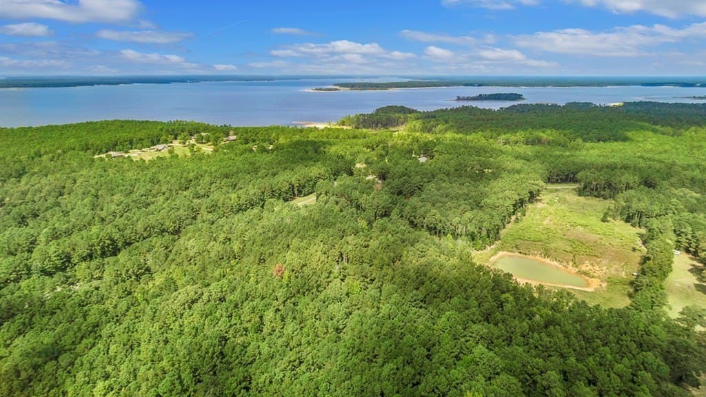 5 acres in Texas County featured view