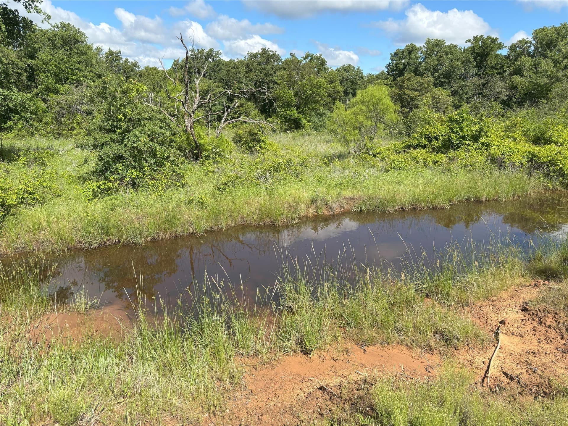 100.14 acres in Jack County - photo 17