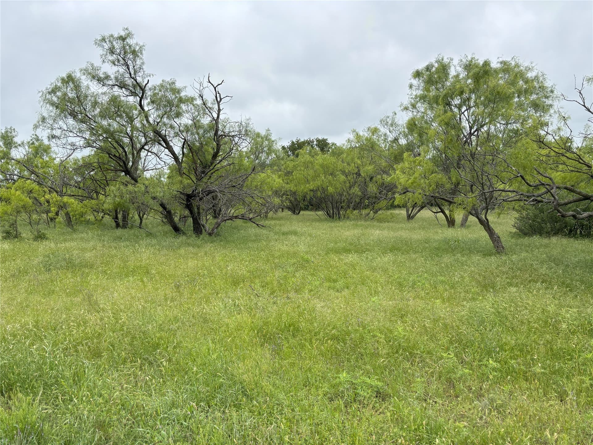 100.14 acres in Jack County - photo 7