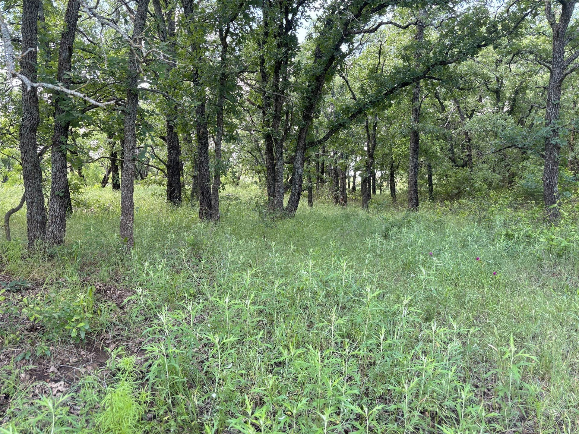 100.14 acres in Jack County - photo 16