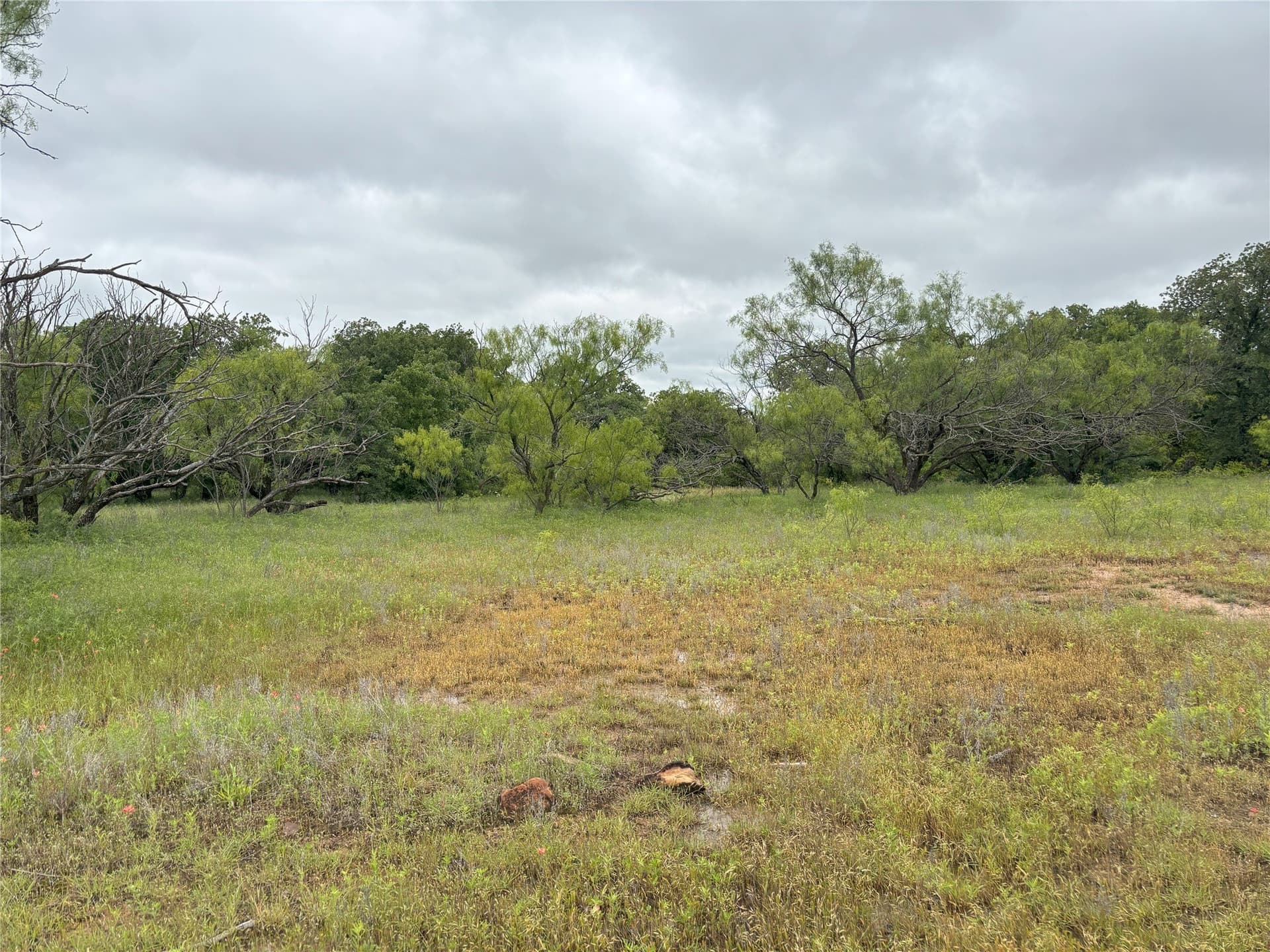 100.14 acres in Jack County - photo 15