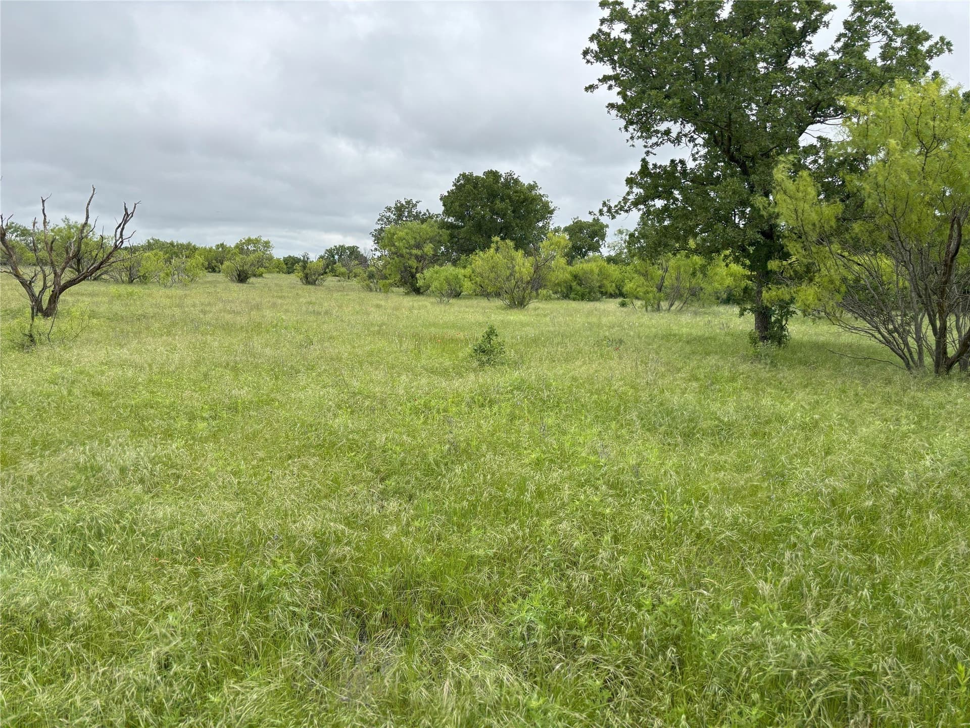 100.14 acres in Jack County - photo 8