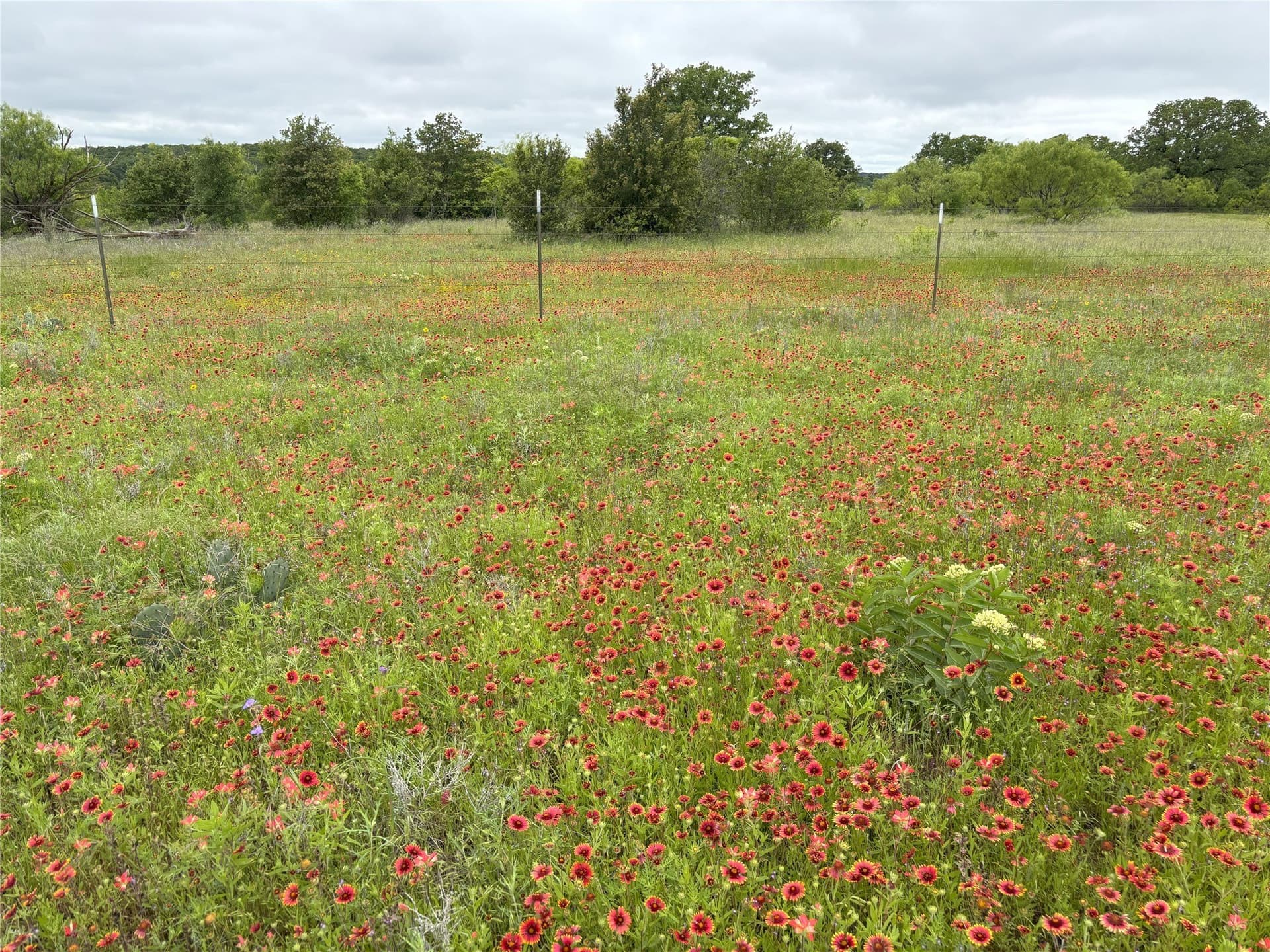 100.14 acres in Jack County - photo 13