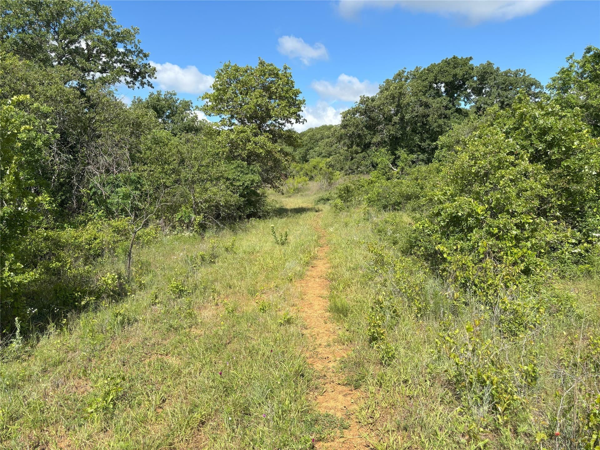 100.14 acres in Jack County - photo 18