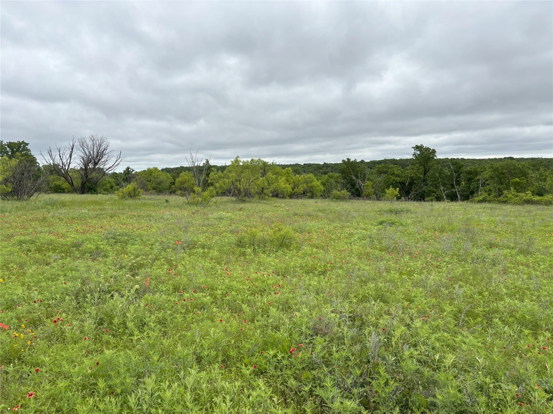 100.14 acres in Jack County - photo 12