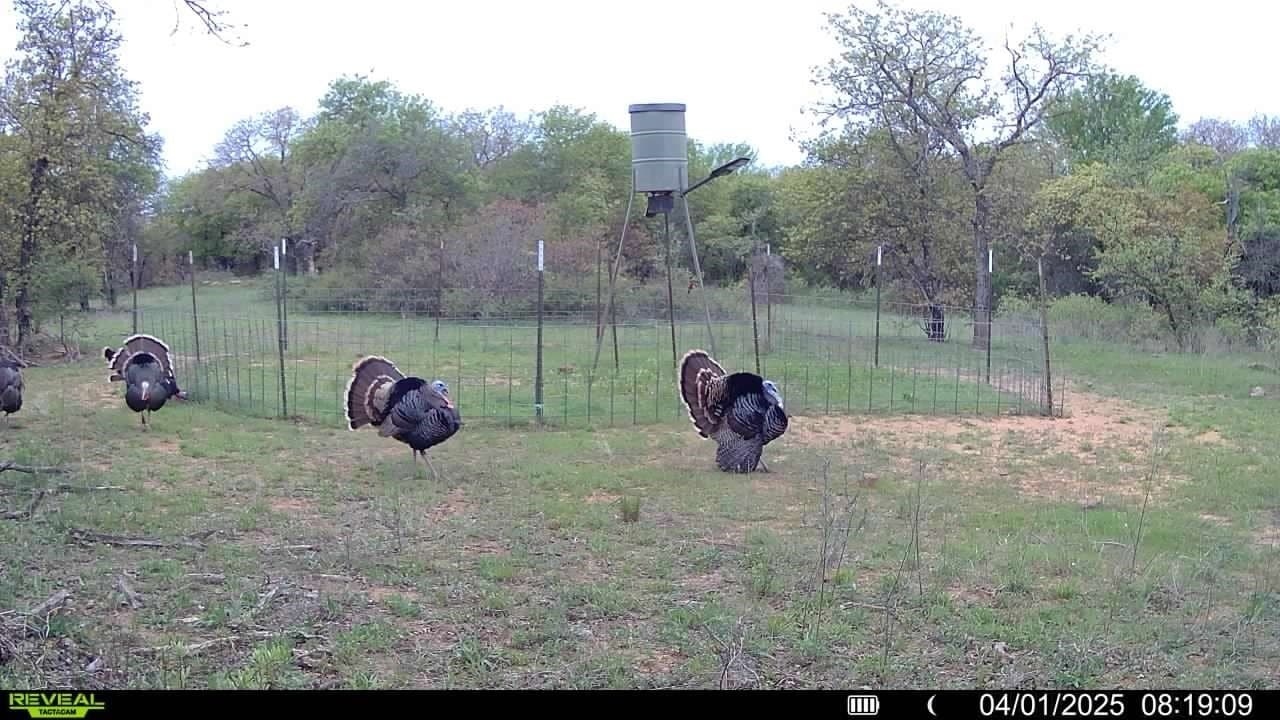100.14 acres in Jack County - photo 23