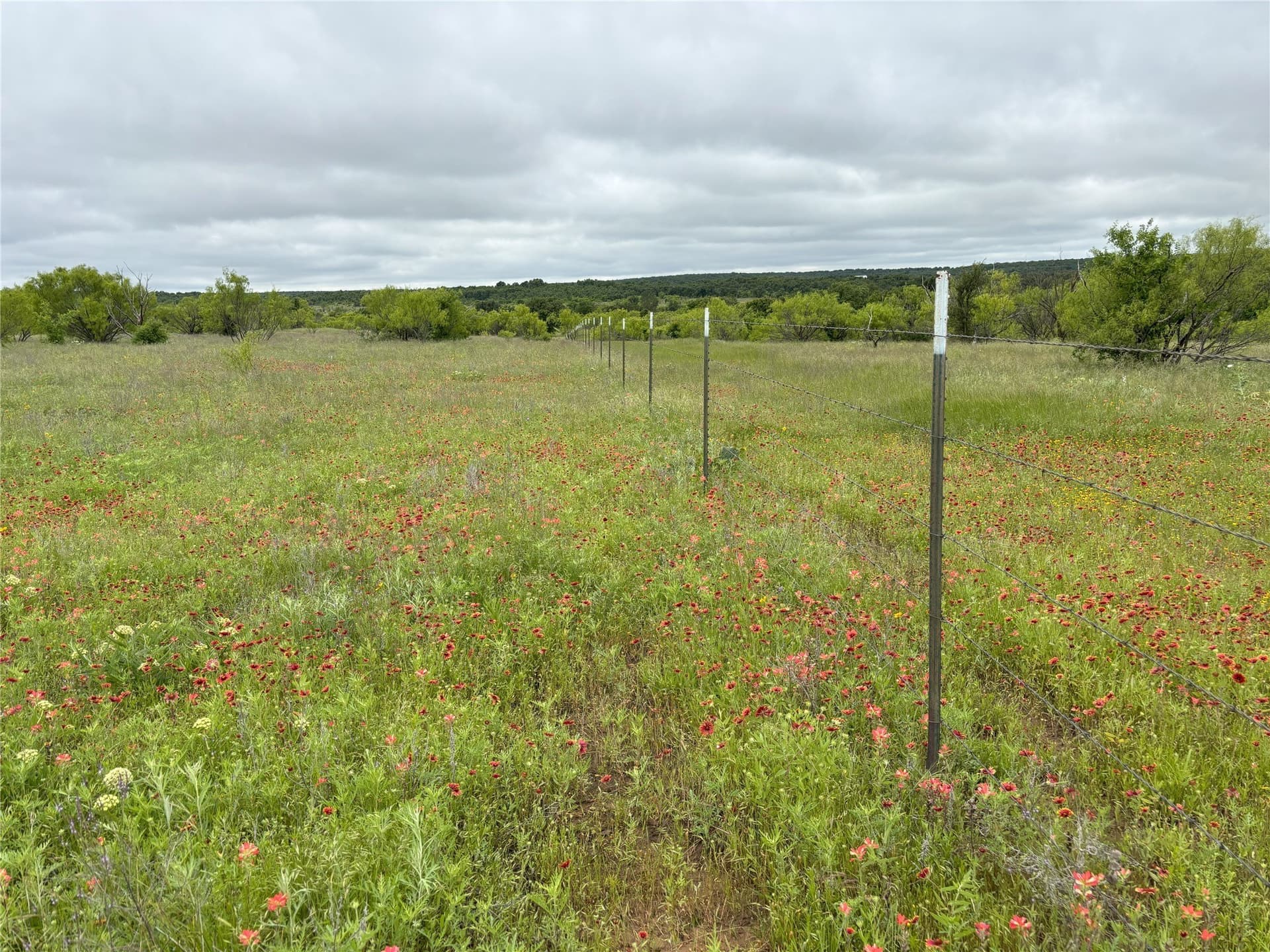 100.14 acres in Jack County - photo 14