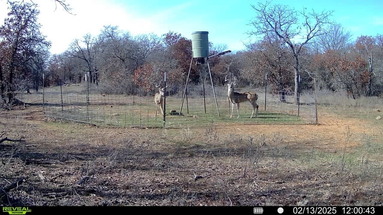 100.14 acres in Jack County - photo 24