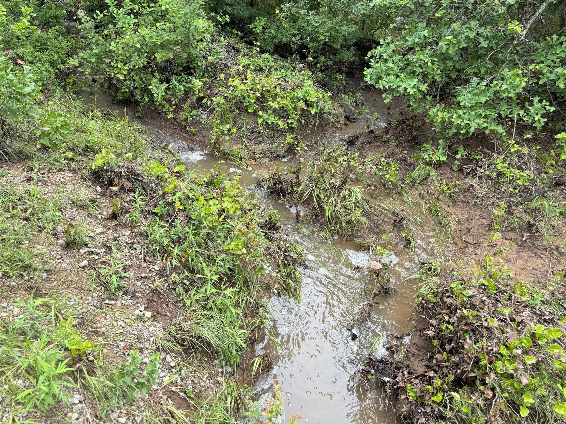100.14 acres in Jack County - photo 4