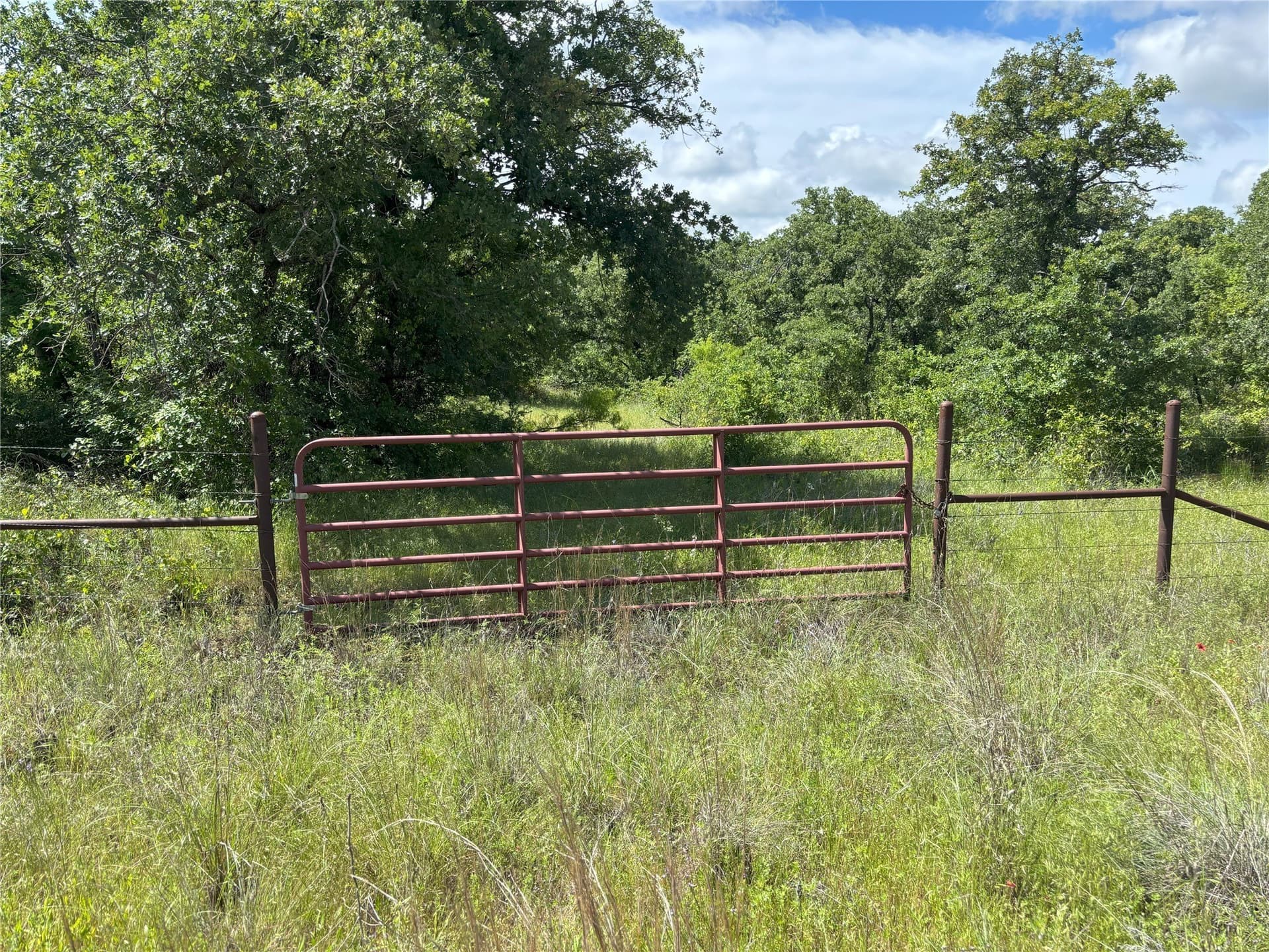 100.14 acres in Jack County - photo 21