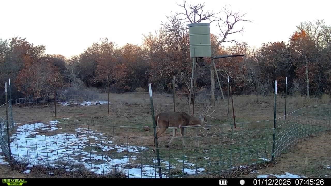 100.14 acres in Jack County - photo 25