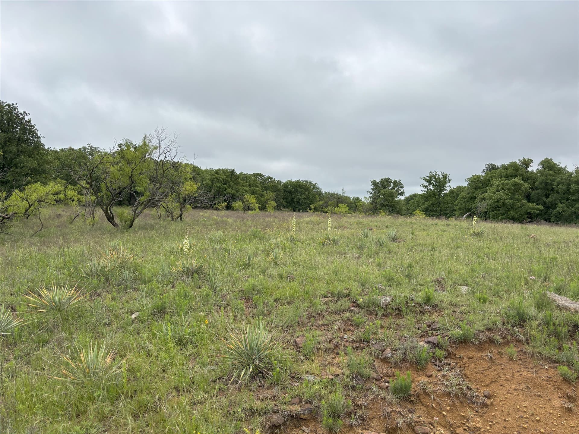100.14 acres in Jack County - photo 6