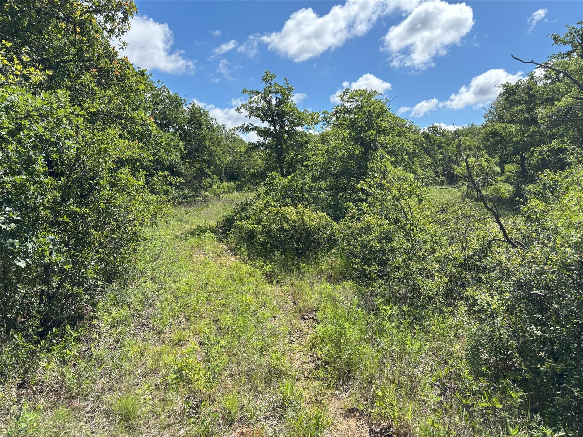 100.14 acres in Jack County - photo 20