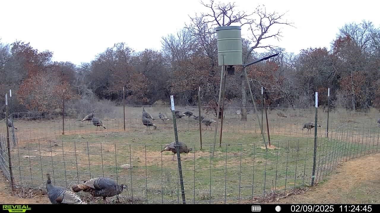 100.14 acres in Jack County - photo 26